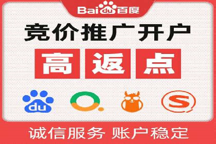 某行业sem竞价托管成功案例：精准投放的秘诀